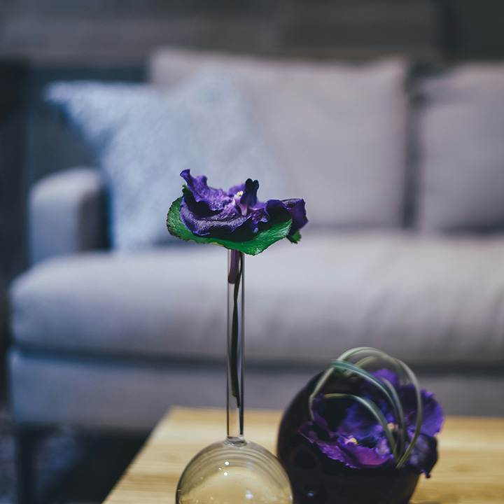 invision-freehand-diseno