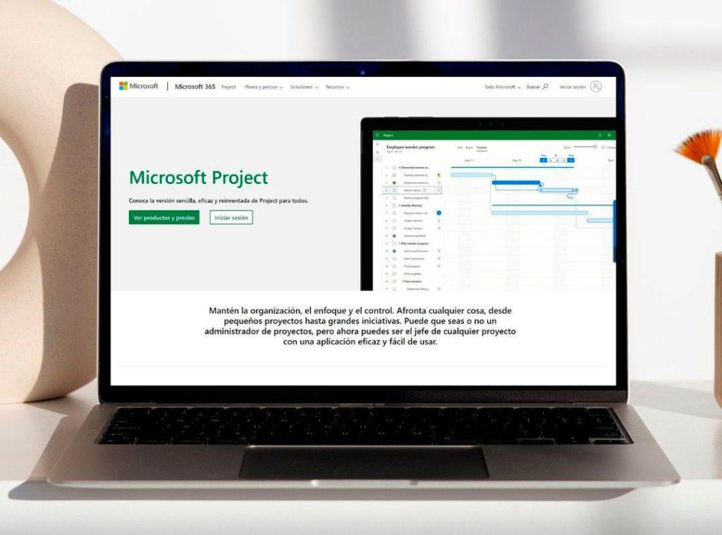 microsoft-project