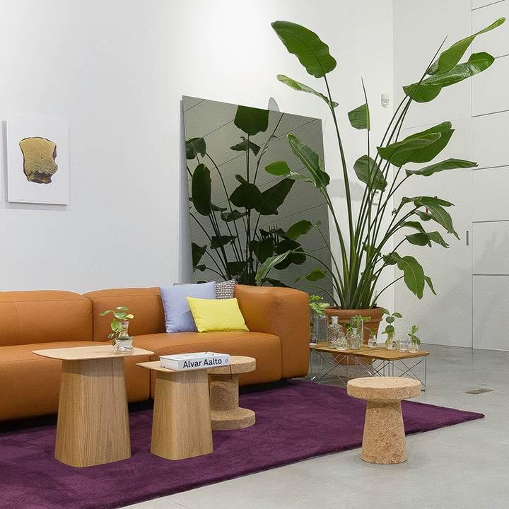 moodboard-lite-diseno